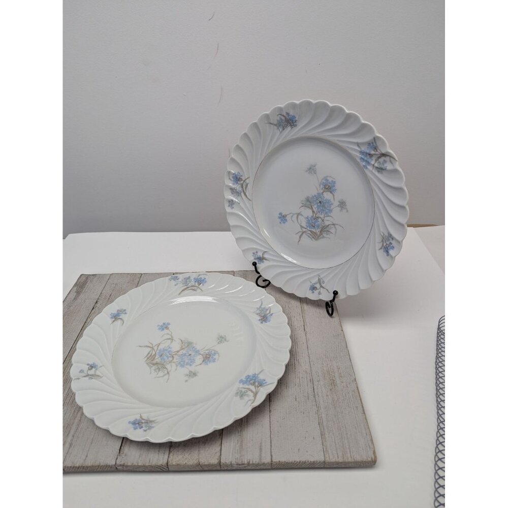 Haviland Limoges Bergere Set 2 Dinner Plates Vintage Blue Flowers France